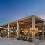 Voyage Complex Torba