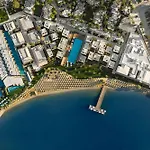 Voyage Complex Torba