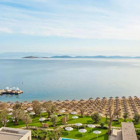 Resort Voyage Torba