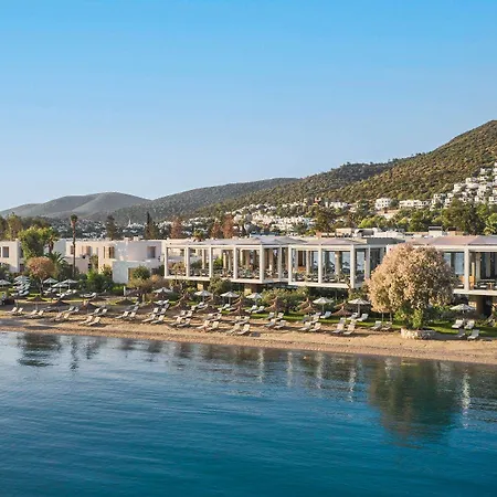 Voyage Torba