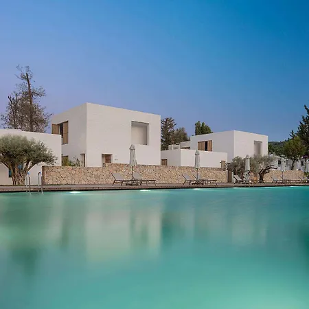 Voyage 5* Torba