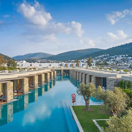 Voyage Torba